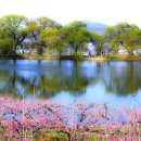 무릉도원 이미지