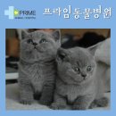 구리동물병원 이미지