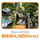 풀무골농장 네이버블로그