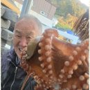 설리바다펜션 이미지