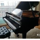 중앙동185 이미지