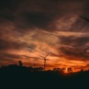 봄이오네 이미지