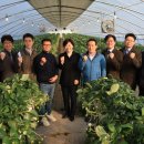 팜솔루션 이미지