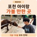 포천 아이랑 가볼 만한 곳ㅣ마이애니멀스토리 in 평강랜드 솔직 후기, 입장료부터 먹이주기까지