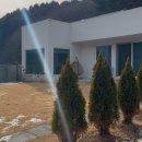 머스트화이트1동 이미지