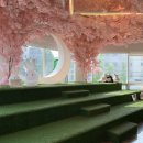 제니아빈 이미지