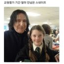안온한 하루
