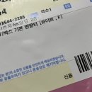 NAK<b>21</b> 기본 반팔티 화이트 free / 패션바이카카오 100딜 후기