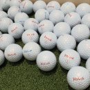 에프와이에스 골프 이미지