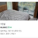 숲속게스트하우스 | 서귀포 소규모 게스트하우스 조용한 숲세권 신축 게하 외지인 연박 후기