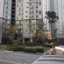 풍림아파트(36122) 이미지