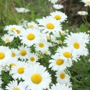 검단산로124번길 이미지