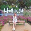 씨유 양주광사IC점 | 경기도 양주 나리공원 주차장 서울근교 가을축제 총정보