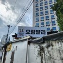 현대대구발리