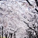 충훈2교 옆 이미지