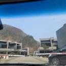 퍼피랜드 네이버블로그