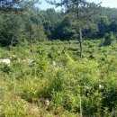 나로도바다 이미지