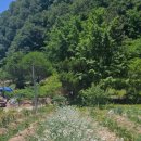 천지배농장 이미지