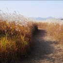 줄포만갯벌생태공원 이미지