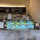 지에스25응암불광천점 | 서울 카페 모음집|은평구&amp;서대문구 : 불광천을 따라서