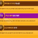 메이플스퀘어 이미지