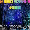 대밭골정원 이미지