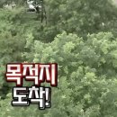 모어디저트 이미지