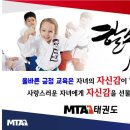 가락태권도 이미지
