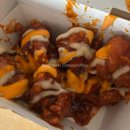 뽀꼬짱 | 12월 백수 일상(12.01~12.15)