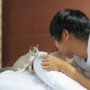 똘이네 이미지