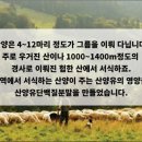 엠퍼씨 네이버블로그