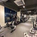 운동의 미학 이미지