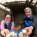 누룩재마을 이미지