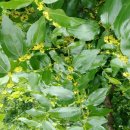 은원농장 이미지