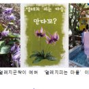 꽃피는산골농촌체험휴양마을 네이버블로그