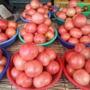 보현농장 이미지