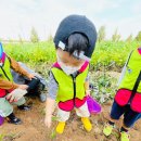 별하농장 이미지