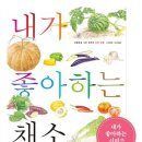 내가좋아하는 이미지