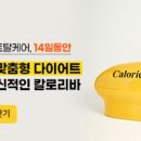 십사일동안