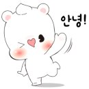 코~오 자자 이미지