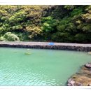 용수충혼묘지 이미지