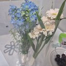 선보피스점 | 뚝딱이 커플의 한여름 헤이허니 서초 촬영 후기_이미미 작가님(3시간 심플스냅)