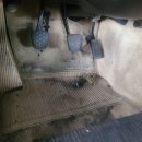 서산벤지 이미지