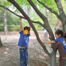 나무와아이들유치원 이미지