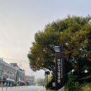 [북한산 산행]산성입구~ 의상능선~문수봉~노적봉~백운대~영봉~도선사 10/28 ,월 이미지