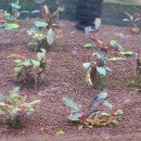 신용 아쿠아 수족관 이미지