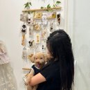 댕그라미 | [내돈내산] 🐶 진접 애견카페 실내+야외 둘 다 가능한, 댕그라미 방문후기
