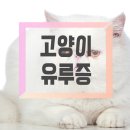 신현동물병원 네이버블로그