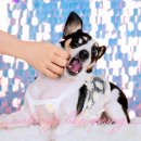 항상봄처럼 스튜디오 이미지