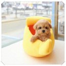 달링동물병원 이미지